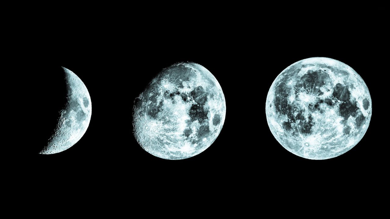 Astronomical diagram showing the waning moon phases